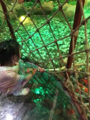 -酷嗒动物文化乐园(cutezoo西溪乐天城店)