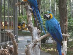 -北京野生动物园