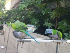 景点-上海欢乐谷