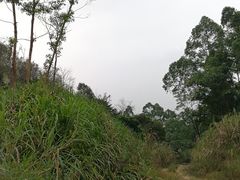 -乞力马扎罗山
