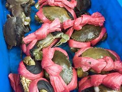 -QQ海鲜餐厅