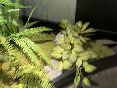 -华夏良子·足道SPA艾灸(王府井店)
