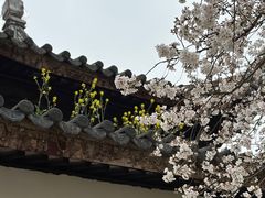 -苏州上方山国家森林公园