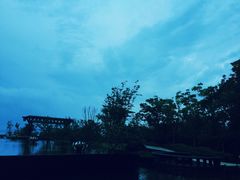 -舟山朱家尖威斯汀酒店·知味标帜自助餐厅