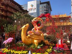 -越秀西湖花市(广州城市广场花卉店)