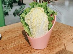 -菌小白火锅(时尚天河店)