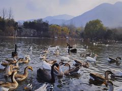-西安秦岭野生动物园