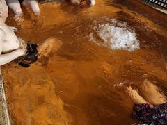 -春晖园度假酒店温泉