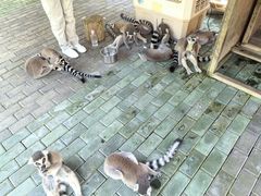 -常州淹城野生动物世界