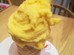 -野人先生现做冰淇淋(北京环宇荟店)