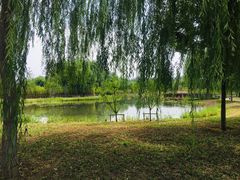 -东郊湿地公园