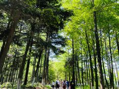 -莫干山风景区