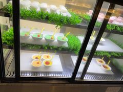 -格瑞欧海鲜自助烤肉火锅(光彩店)