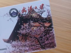-武汉大学图书馆·文理学部总馆