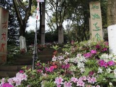 -重庆平顶山公园
