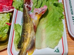 -有米粥料·海鲜粥底火锅(华强北店)