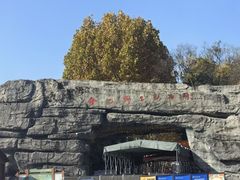 -合肥野生动物园