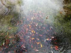 -水磨沟公园