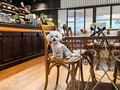 -沏点Trattoria意大利餐厅(新街口店)