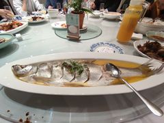 鸡油蒸白水鱼-漢舍中国菜馆(889广场店)