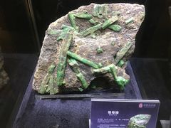 -中华赏石园