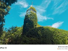 -三鹰之森吉卜力美术馆