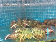 -四川小胡子海鲜(丁村万人海鲜广场店)