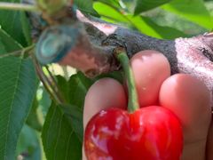 -上海龙吴水胜海发市场