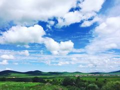 -御道口草原森林风景区
