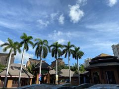 -三亚湾红树林度假世界(木棉酒店)