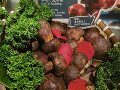 -芸山季·云南山珍菌火锅(人民广场来福士店)