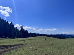 -新疆那拉提国家旅游度假区