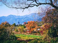 -塔川景区