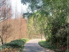 -都江堰中华大熊猫苑