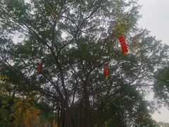 -乌山风景区