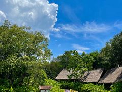 -大象粑粑造纸公园