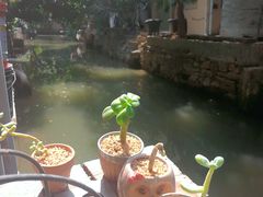 -小洲村