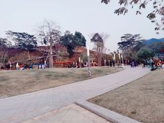 -白石龙音乐公园