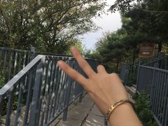 -泰山风景名胜区