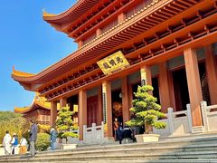 -深圳仙湖植物园