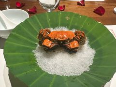 -觀芷隐轩