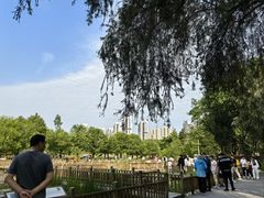 -五缘湾湿地公园