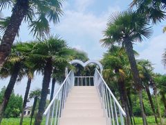-尚湖风景区