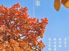 -周口店坡峰岭风景区