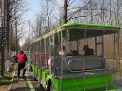 -合肥滨湖国家森林公园