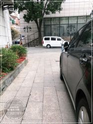 -金太子形象设计