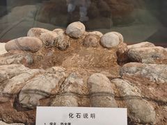 -大同煤炭博物馆