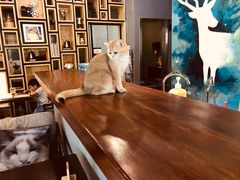 -咖法森林·咖啡  酒吧(天河店)