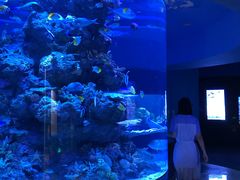 -成都浩海立方海洋公园