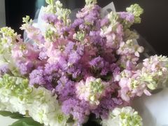 -循礼门鲜花花市(武汉循礼门店)